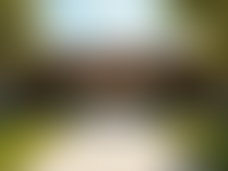 Success Stories: Empowering Aurora Through Sheltering Hope