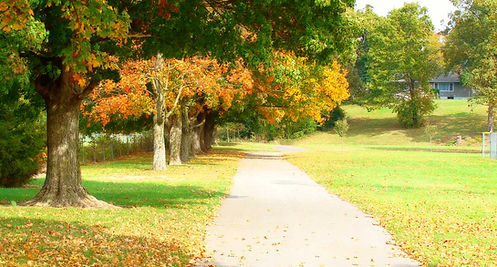 SH photo walking trail.jpg