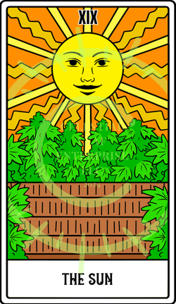 The Sun