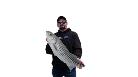 Striper Fish