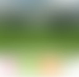 Opération « Vergers hautes tiges pour la biodiversité », c'est reparti !