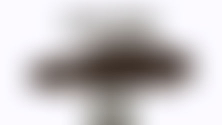 Variibaby - Everyday