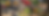 Web Page Banner (2).png