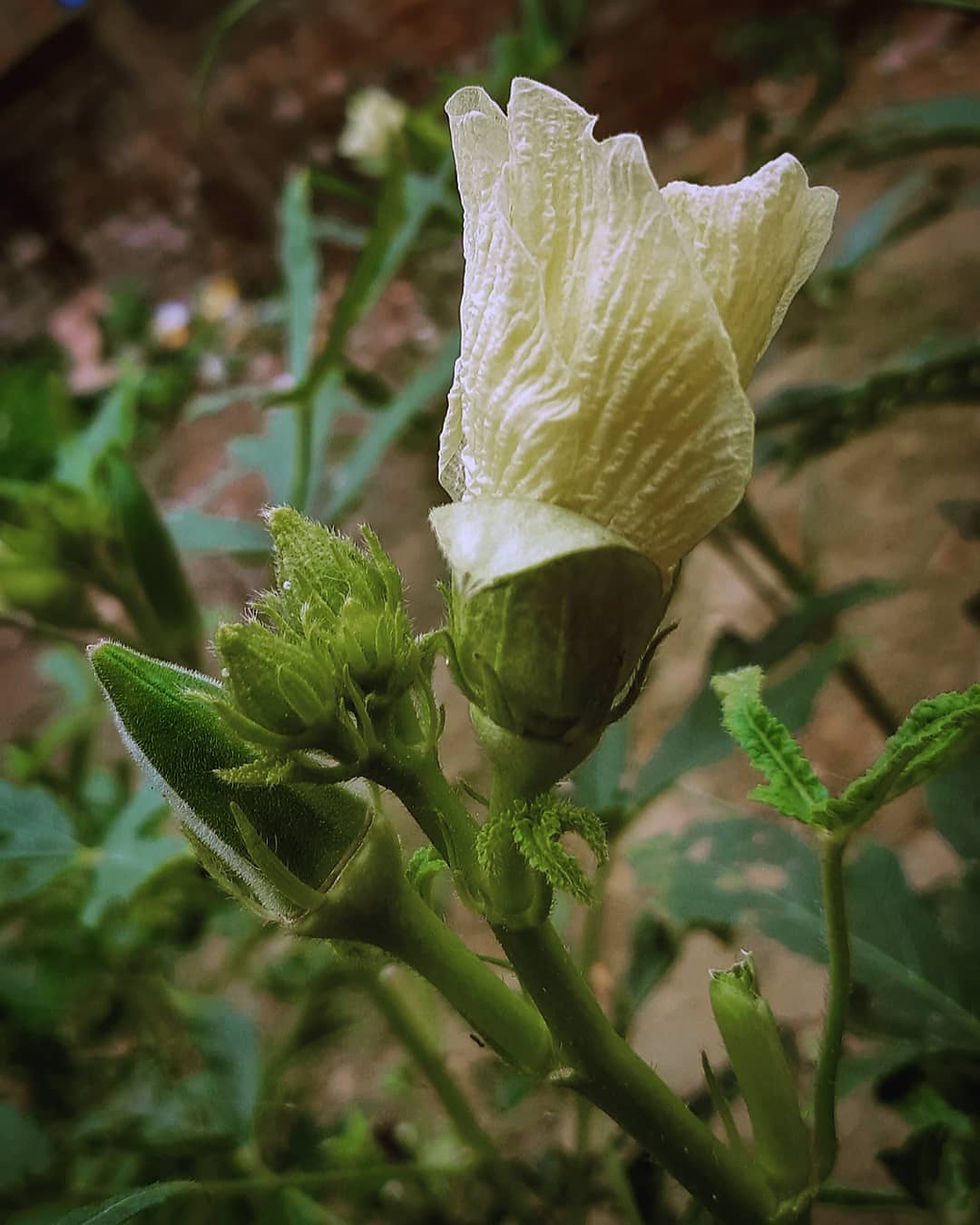 07/19/21