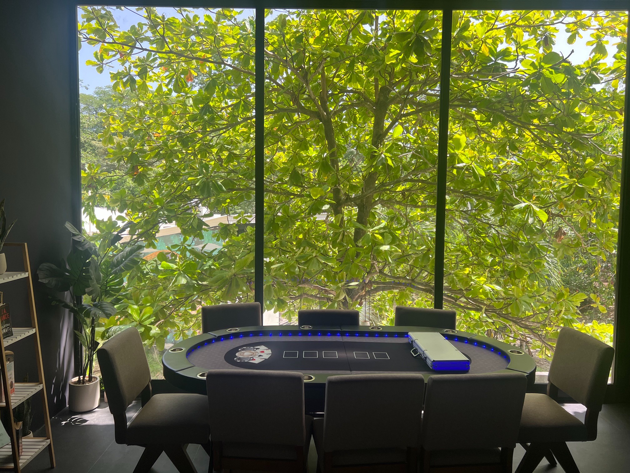 Poker table in Sala La Mona beside large tree canopy windows