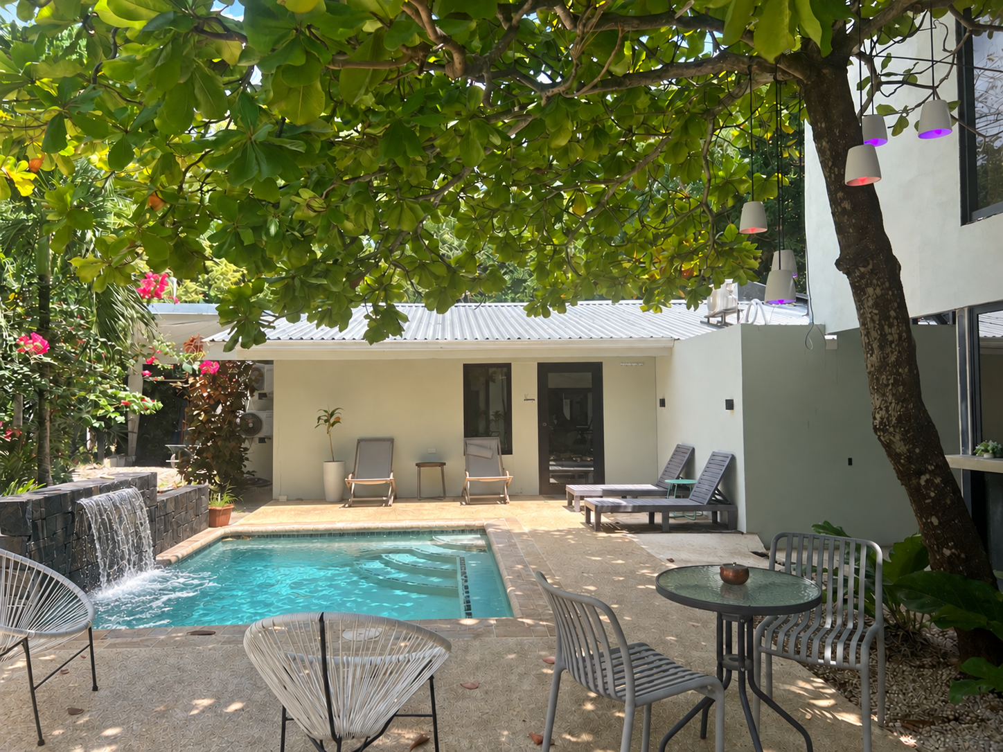Pool courtyard beneath mature tropical trees at Sueño Mono