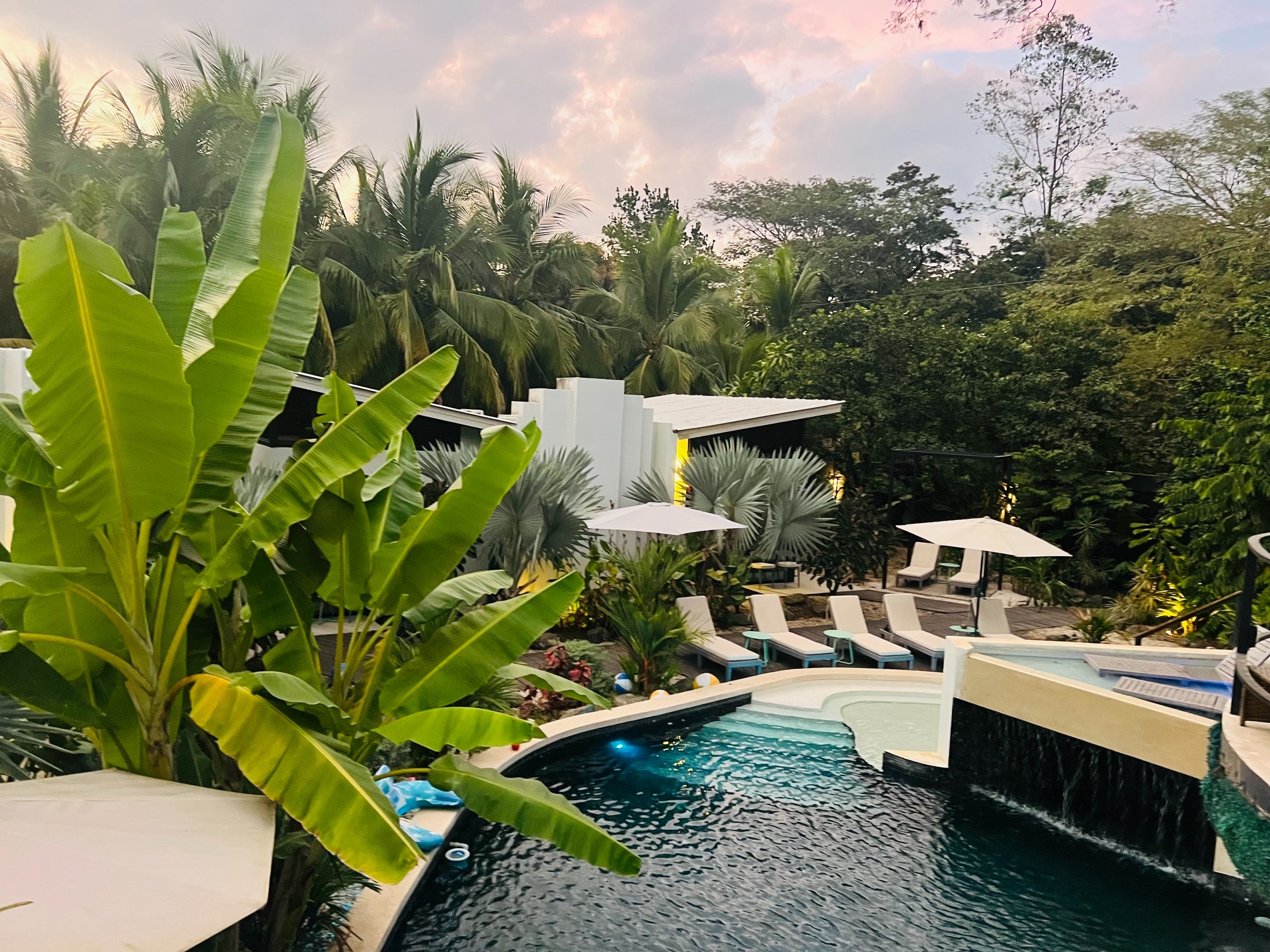 MANGO pool and tropical gardens at sunset