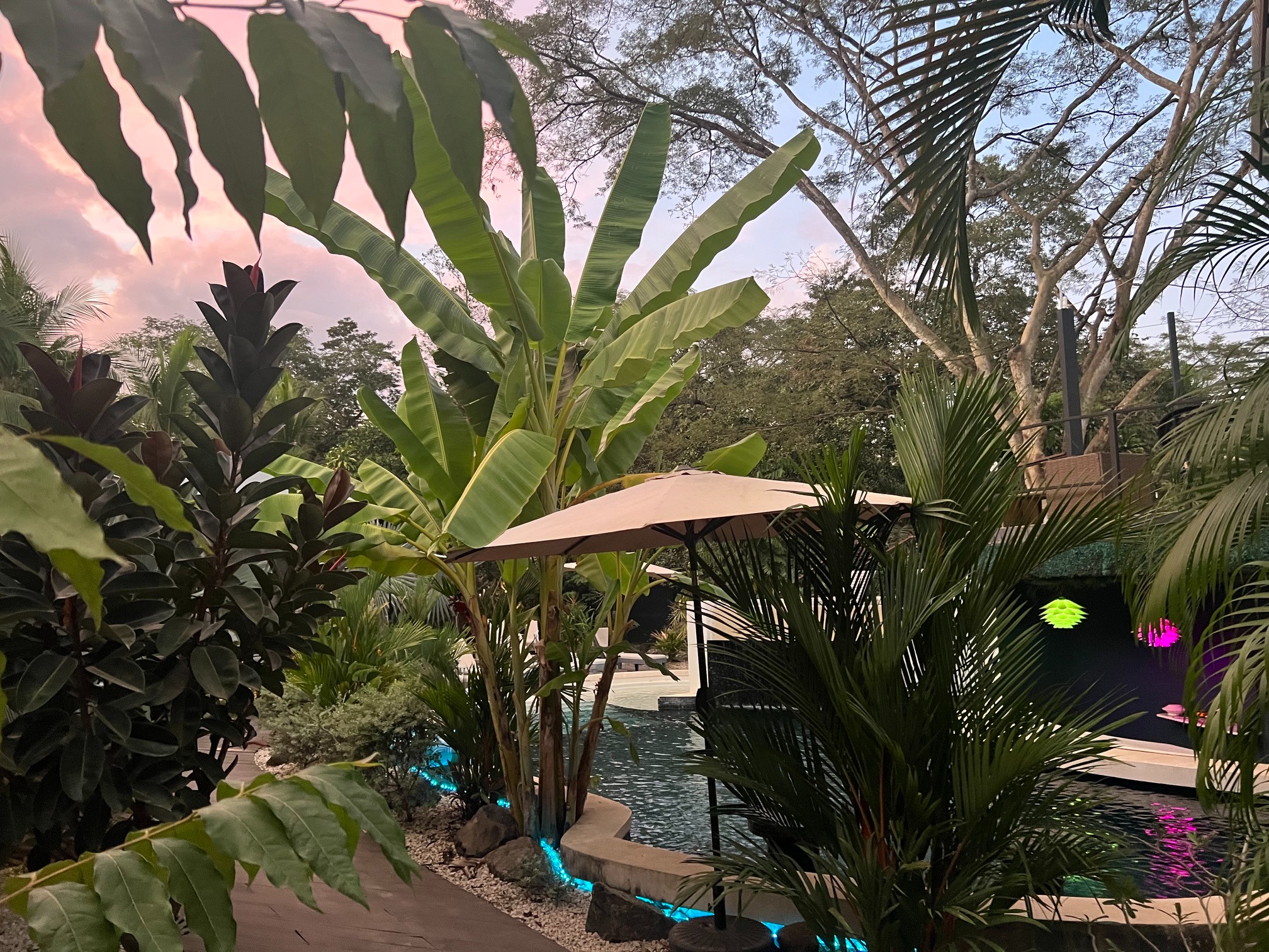 Tropical pool path at dusk