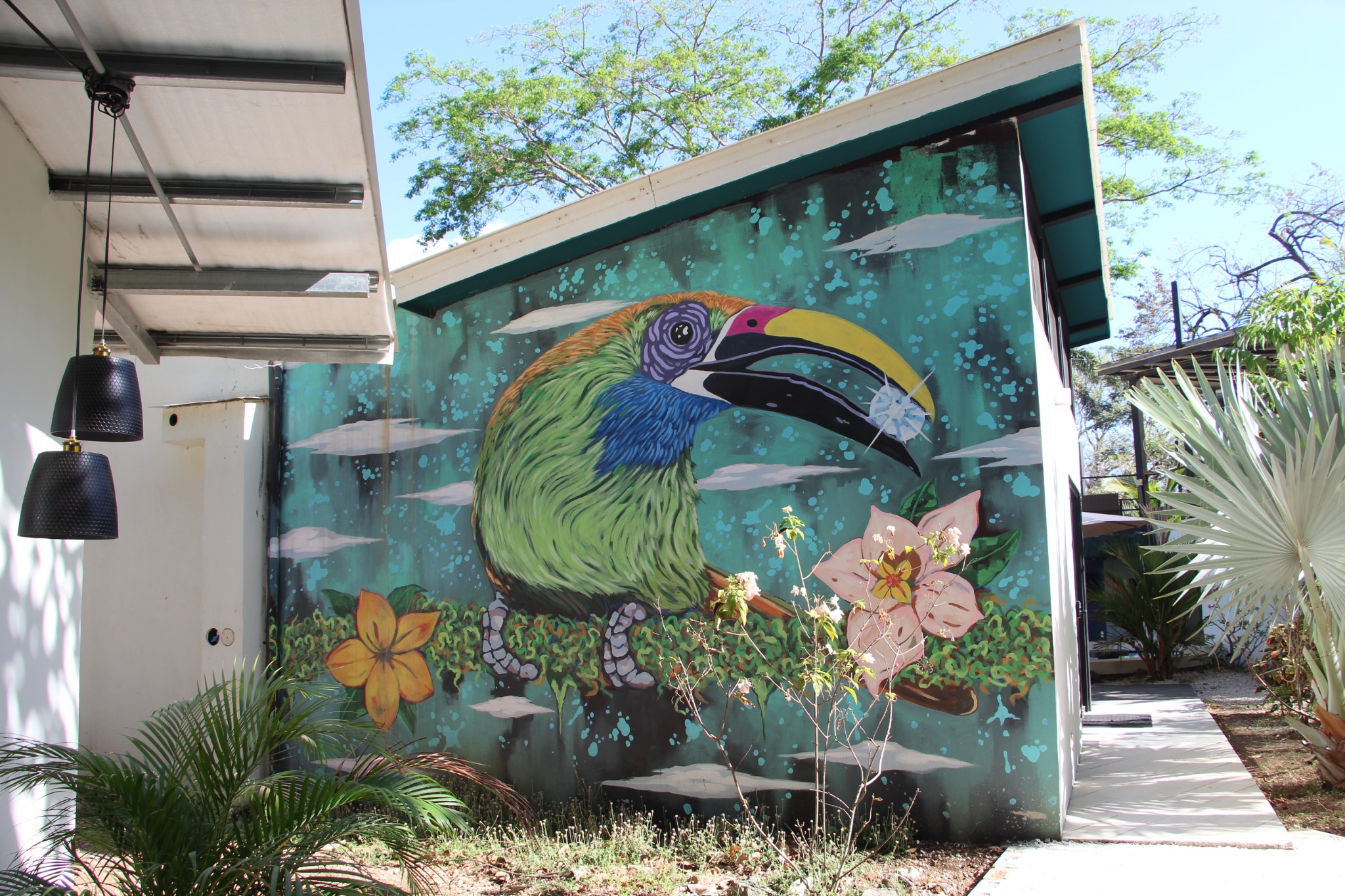 Toucan mural at Sueño Mono