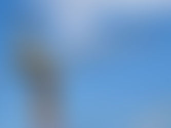 「澳門黑沙灣新填海區P地段-地段C(標段C1)暫住房建造工程」