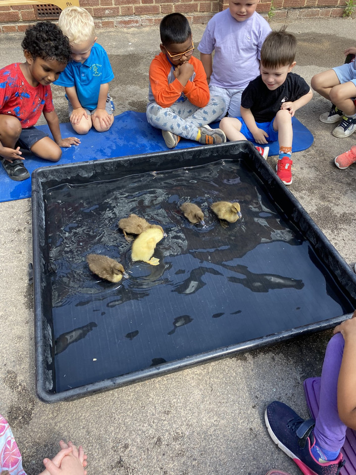 Honeypot Preschool Outstanding England