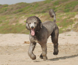 E1C03F0C-885D-4111-A427-371B1910205B