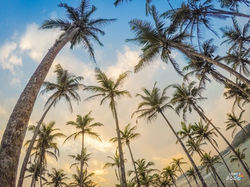 49054452_2430802936948340_21770182096542