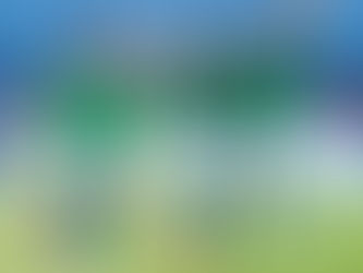 Qualification Mondial 2022 : défaites des BAREA de Madagascar, quelles actions correctives ?