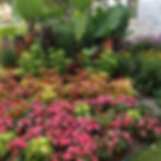 Garden Mix
