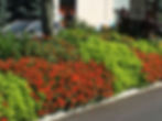 Mixed Planting