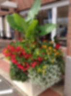 Mixed Planter