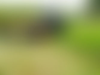 How to Run 3 Crews Without Being on a Mower