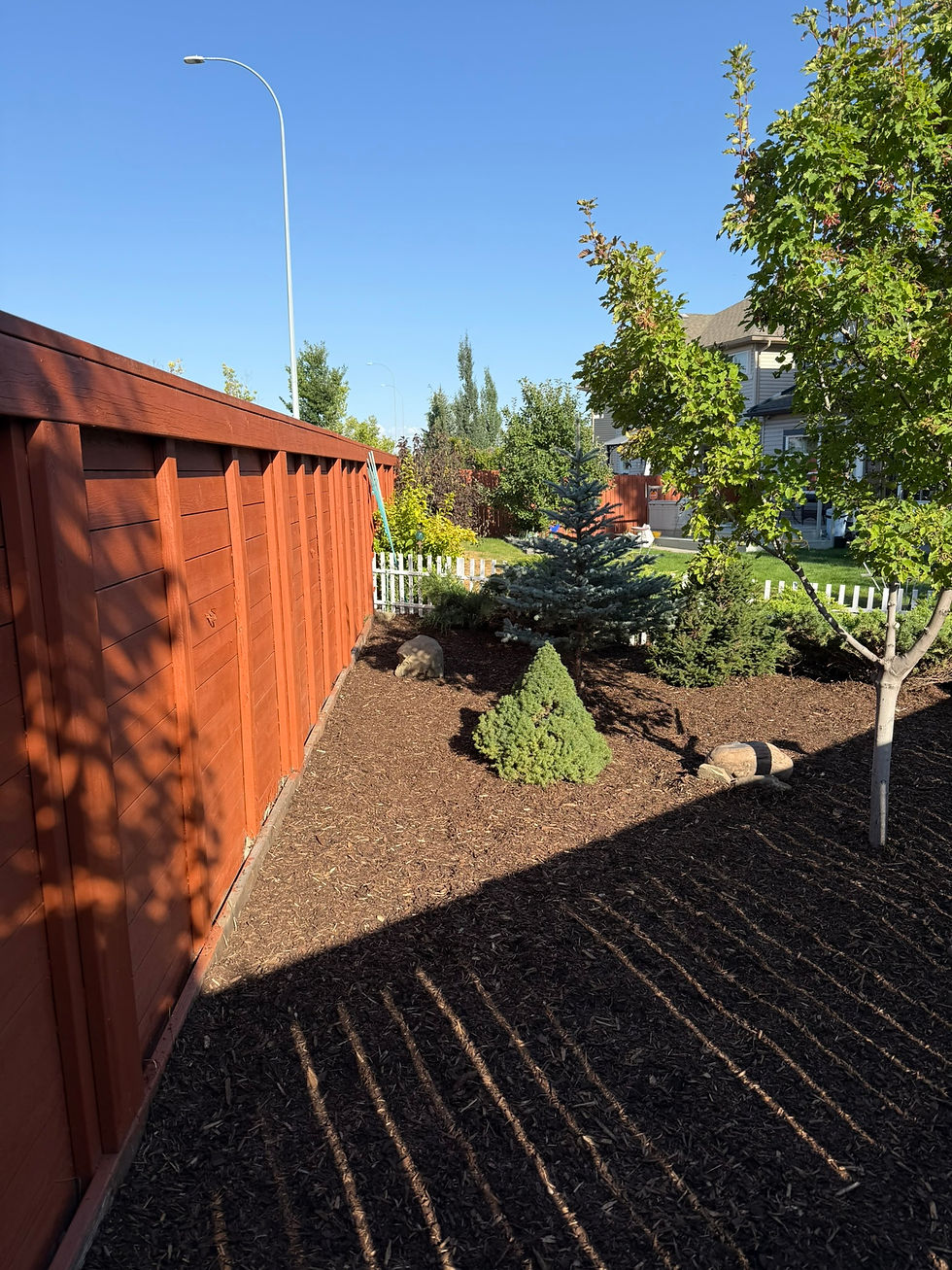 re-mulch and yard cleanup.JPEG