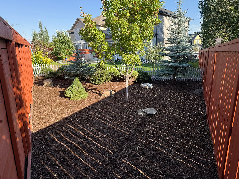 re-mulch Legacy
