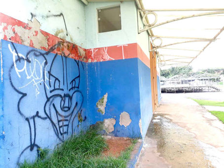 Valdier Velho: Carnaval com jeito de festa inesquecível