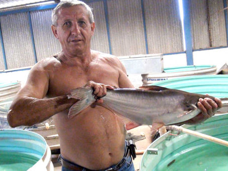 Escola Agrícola desenvolve tecnologia com espécies exóticas de peixe para elevar em 10 vezes o lucro
