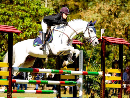 Amazona de Monte AprazÃvel vai representar o Brasil na Colômbia em competição internacional