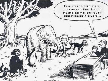João Francisco Neto: O véu da ignorância