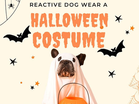 Poster of a dog in a ghost costume beside jack-o'-lantern buckets, with Halloween spiderwebs, bats, and the text Should Your Reactive Dog Wear a Halloween Costume?