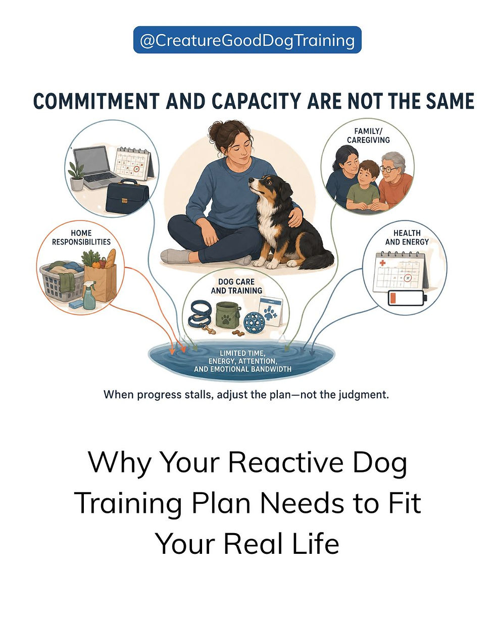 Infographic of woman with reactive dog; text says commitment and capacity are not the same, with icons for work, family, health.