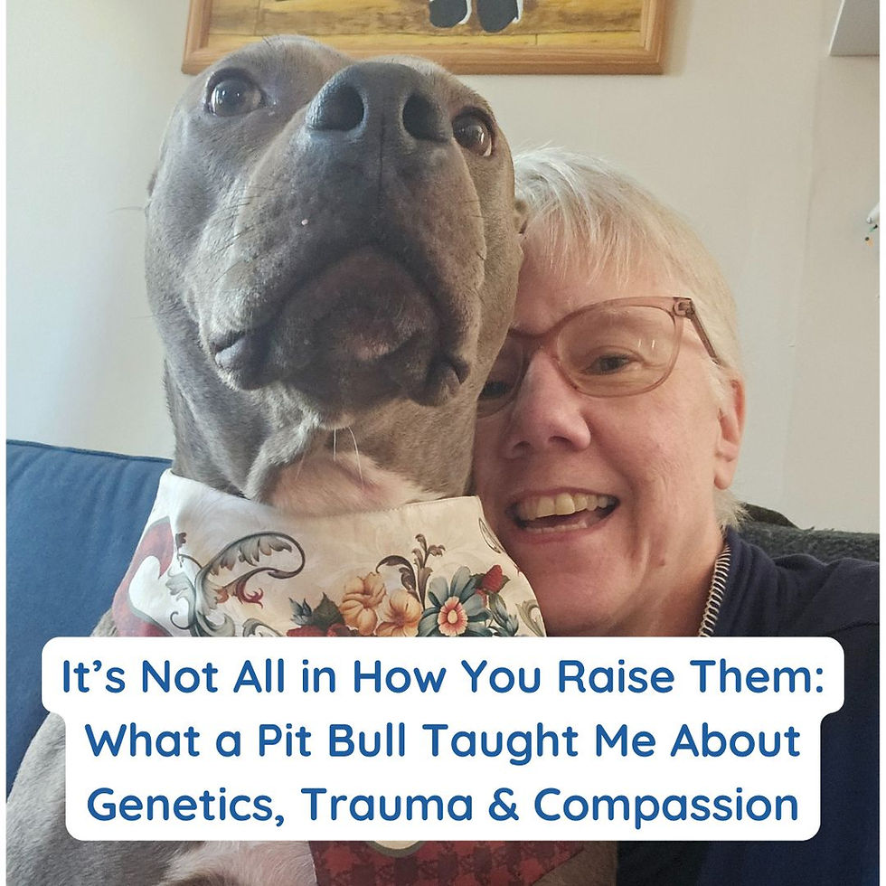 Ruth Hegarty and her pitbull dog Shadow Dawn