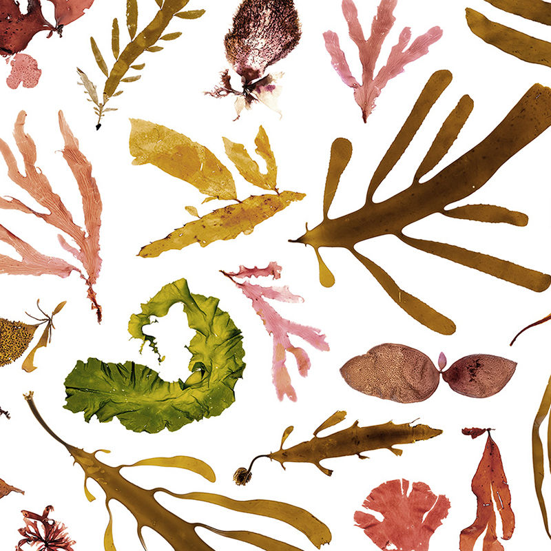 Thumbnail: Sample - Deep Currents