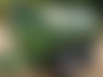 Orion Farming Group Fuel Update: 19/03/25