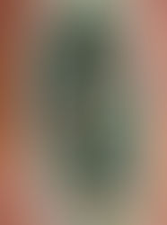 DIY: Low carb spinach sauce