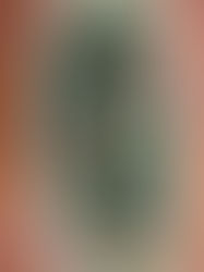 DIY: Low carb spinach sauce