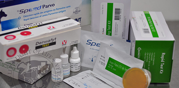 Light of Life Vet: In clinic diagnostic tests