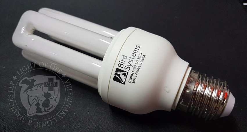 Light of Life Vet: UVBUVA light bulb for parrots