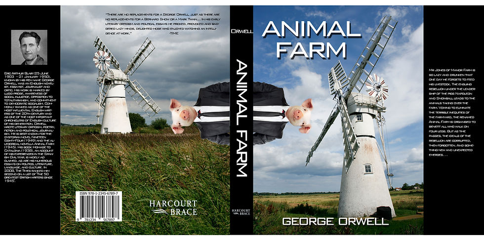 Book Jacket.jpg