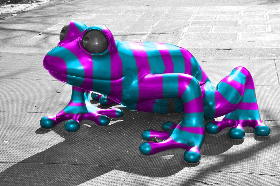 Colorizing zebra frog.jpg