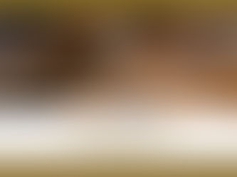 ORGELKLANG 2024 | Best of NATHAN LAUBE