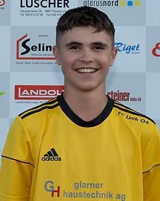 Raul Schopfer