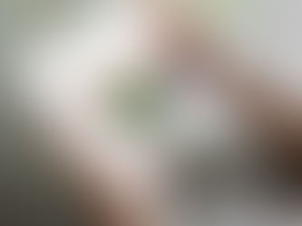 Siete pronti per cominciare?