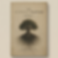 23453wrew3.png