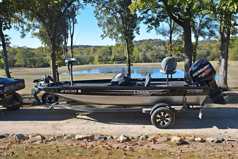 LOWE STINGER BOAT