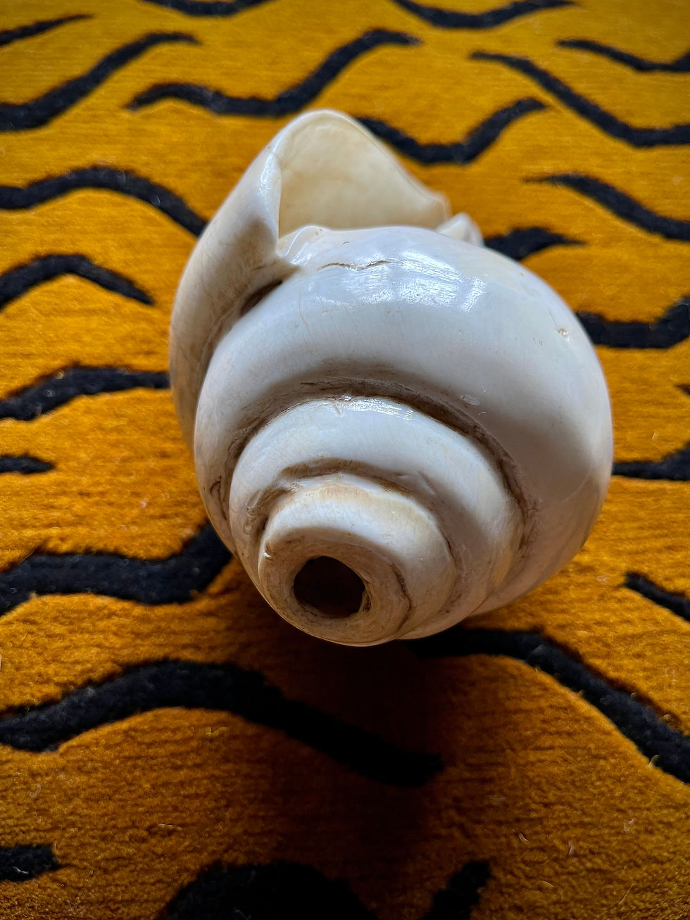Thumbnail: Conch Shell - Nepalese Jhankri Shankha