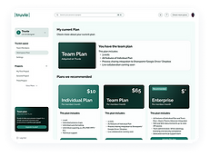 MeltStudio Venturer Partner