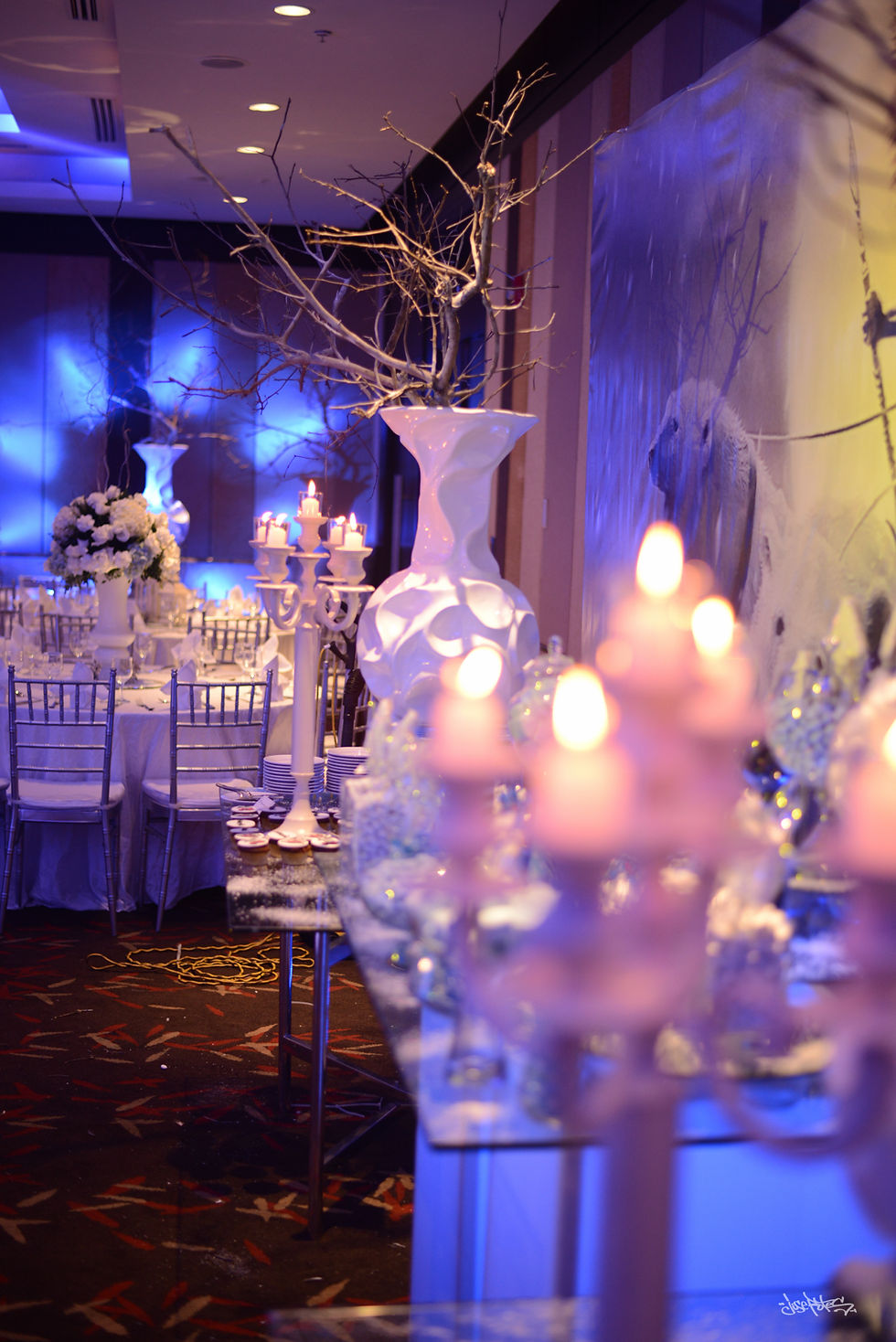 Decoradores de eventos en panama