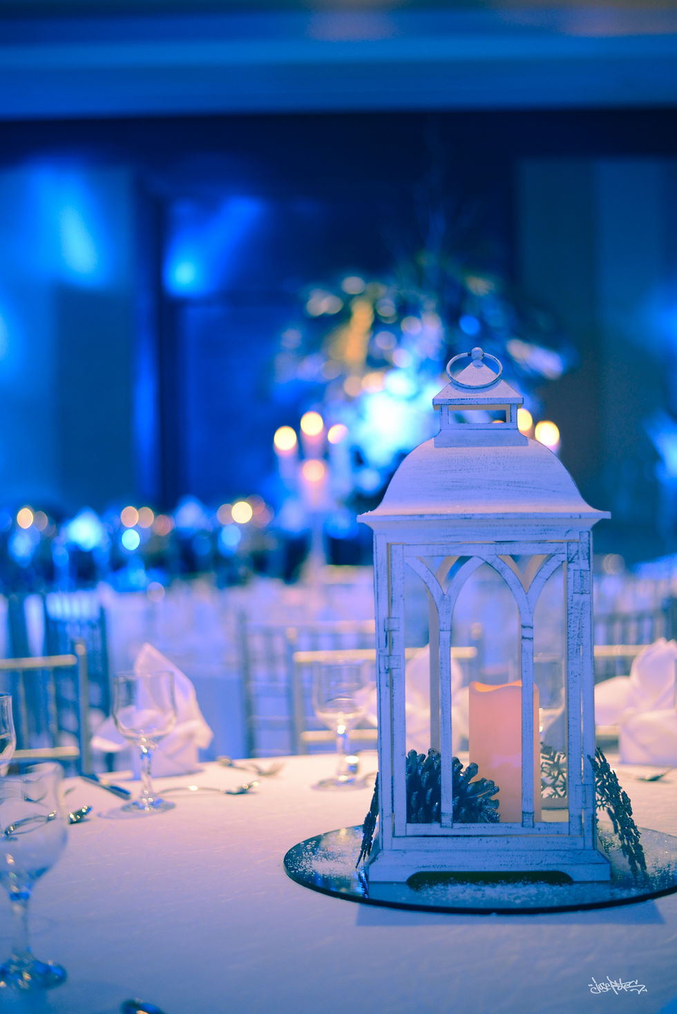 Organización de eventos sociales