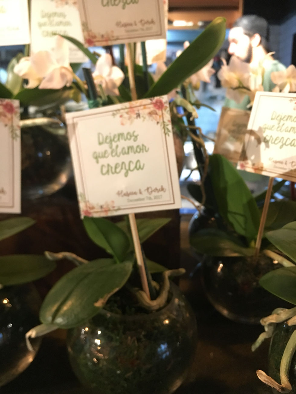 Paquetes de bodas en panama