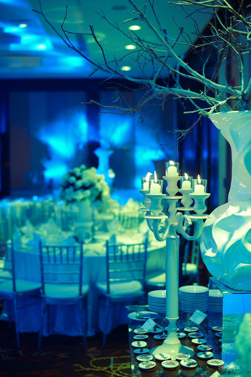Decoracion de quinceaños en panama